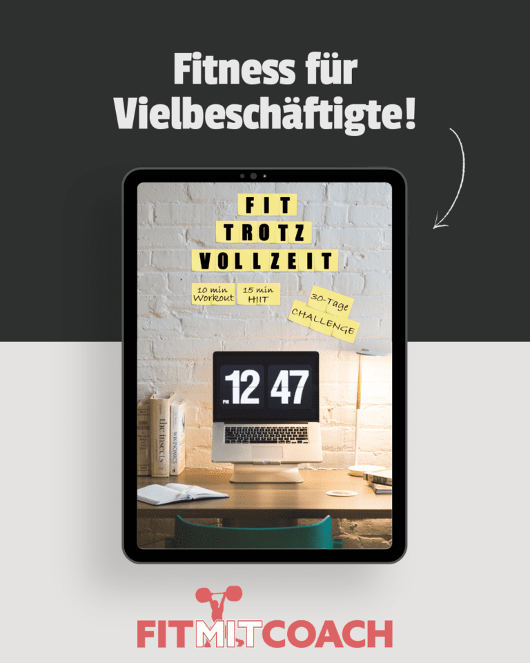 Fit trotz Vollzeit Ebook